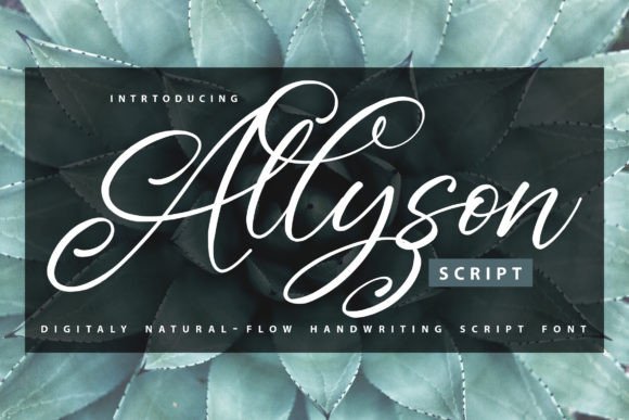 Allyson: A Strategic Asset for Creative and Professional Communication