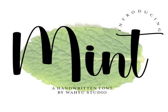 Mint Script Font: Playful and Versatile for Modern Design